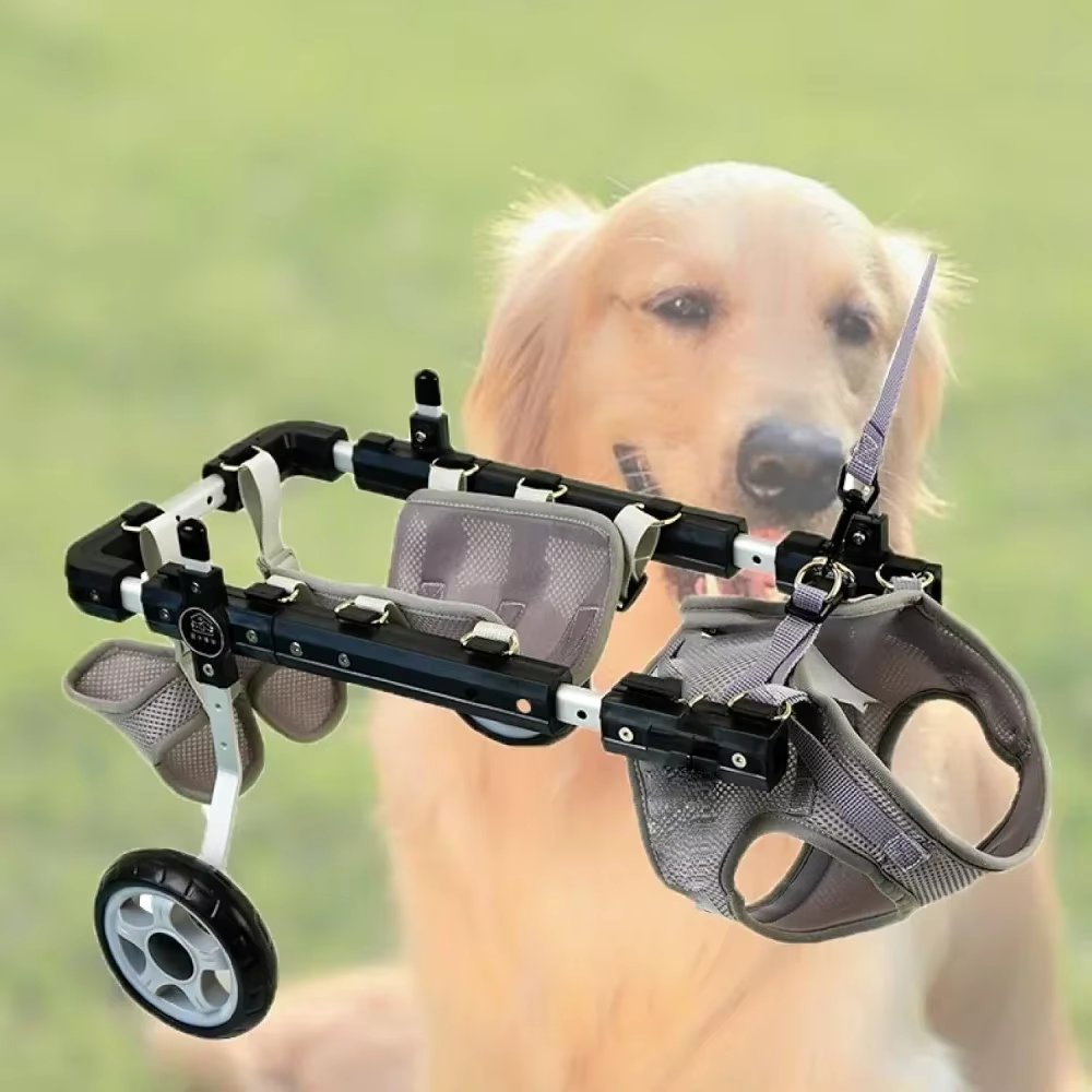 Dog and Cat Hind Leg Wheelchair Adjustable Dog Hind Leg Wheelchair Disabled Pet Walker with Hind Leg Support and Hip Support