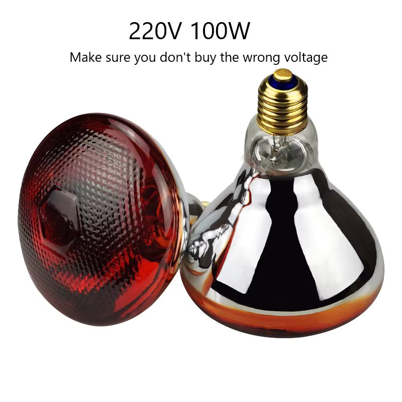 220V 100W