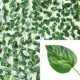 Greenery leaves