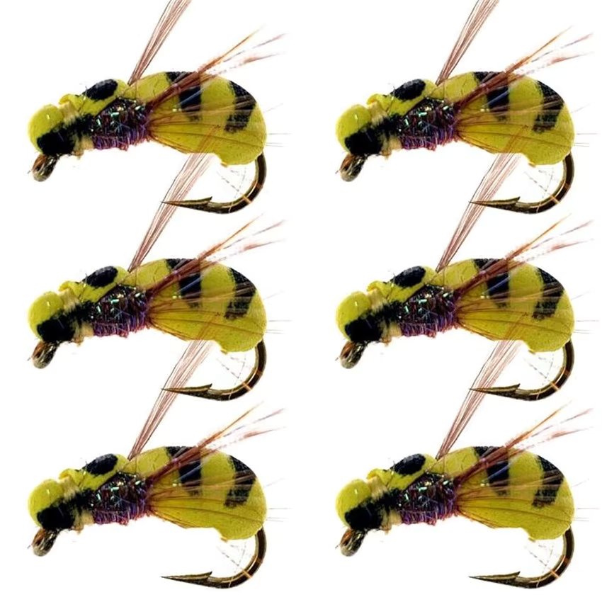5/10/20Pcs Beetle-Like Foam Boatman Dry Wet Fly Tying Hook Carp Fishing Zip Rig Trout Fishing Fly Lure Bait