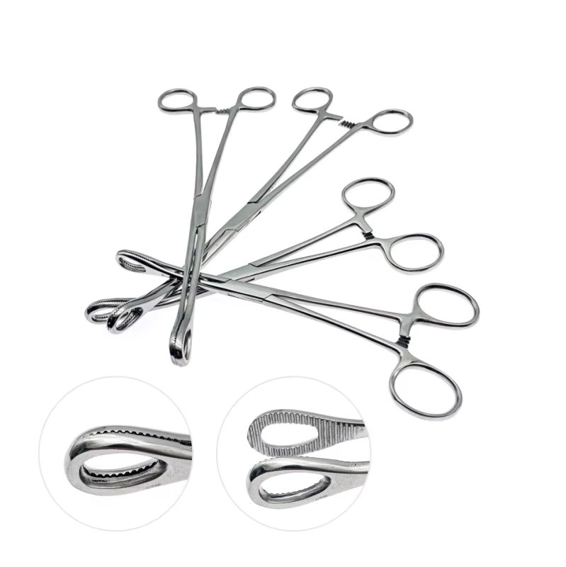 Sponge Forceps  Straight/Curved Serrated Jaws Stainless Steel Veterinary Surgical Instruments