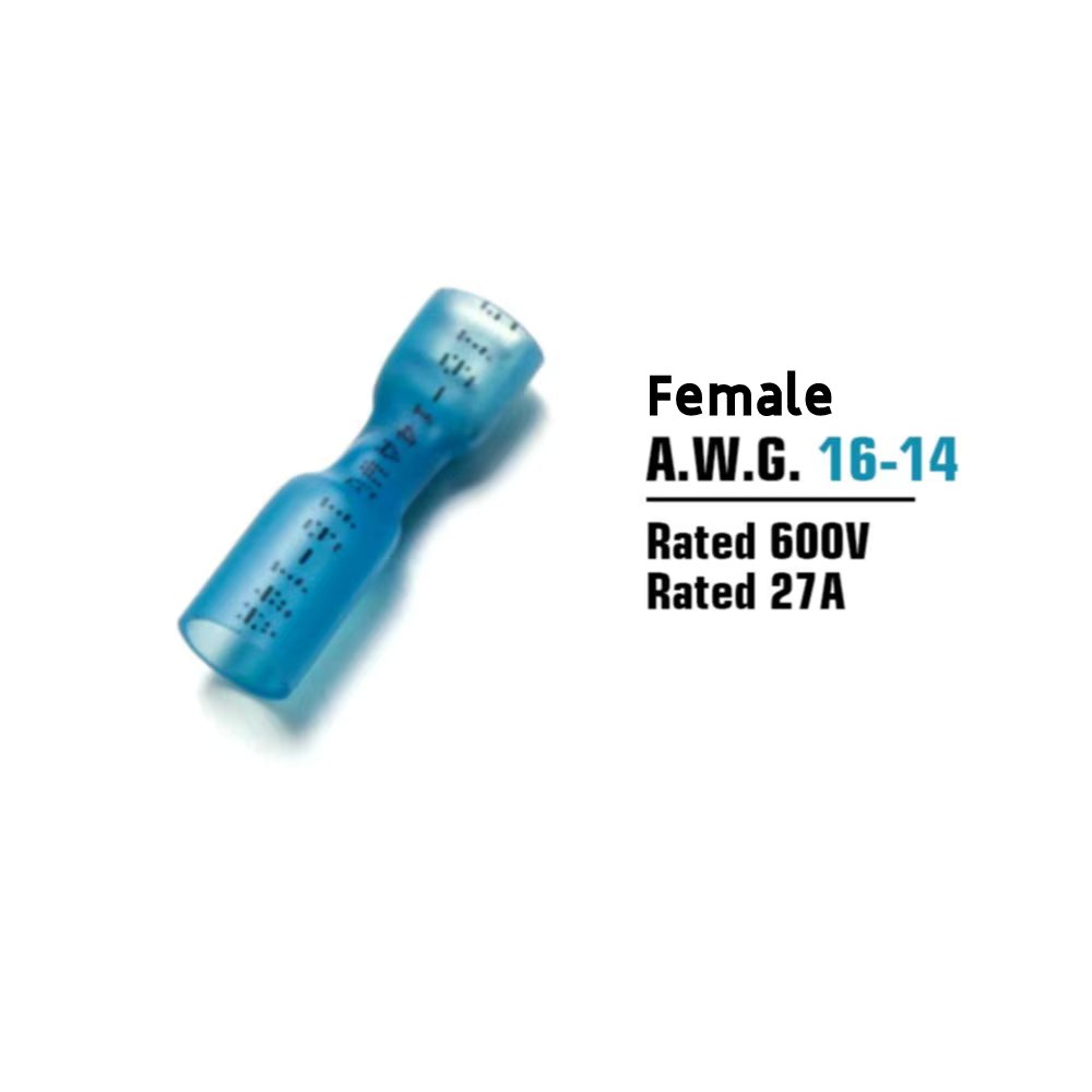Blue Female