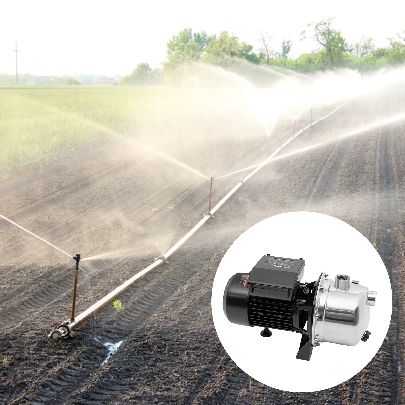 Shallow Well Pump1200 GPH Stainless Steel Sprinkler Booster Jet Pumps for Garden Lawn Irrigation System and Lake Fountain