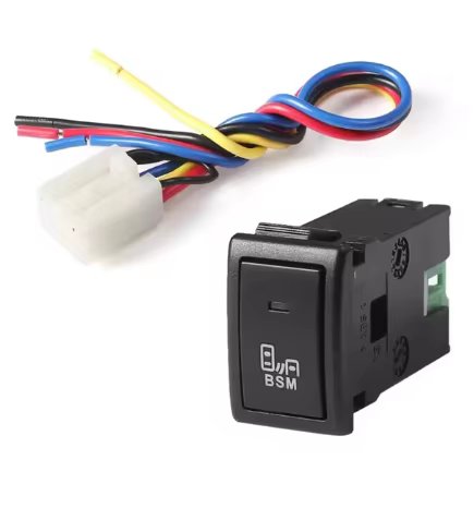 BSM Switch