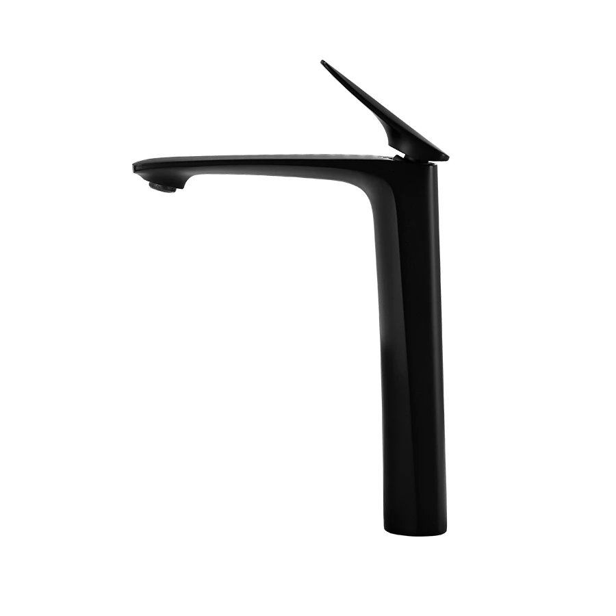 Matt Black Faucet