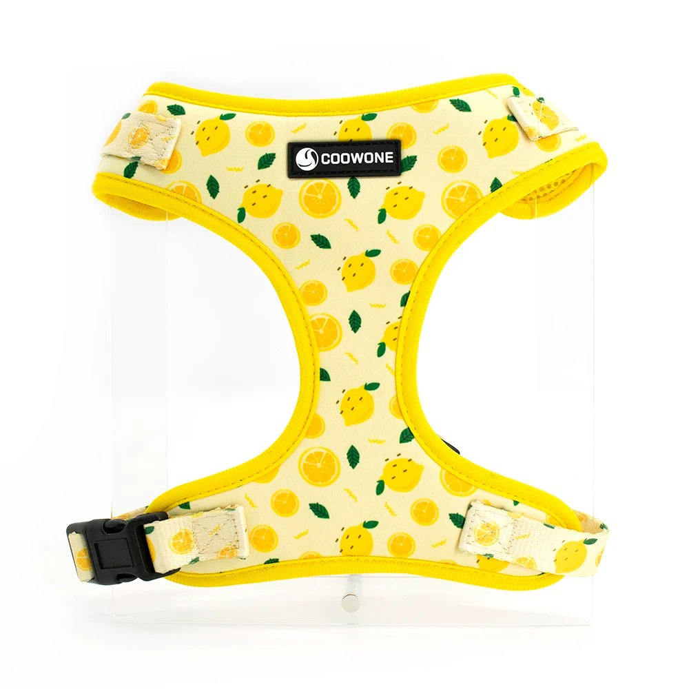 Harness