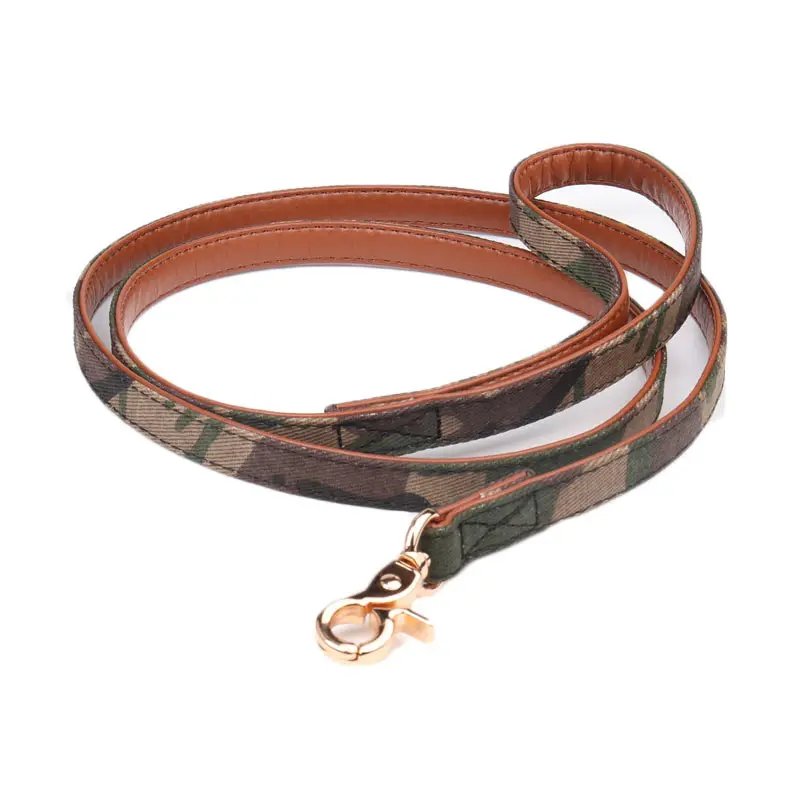 Dog Leash Green