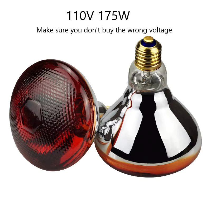 110V 175W