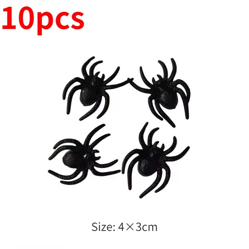 spider