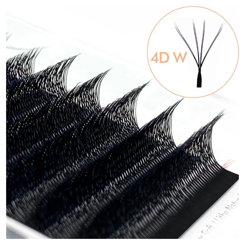 Double 4D W