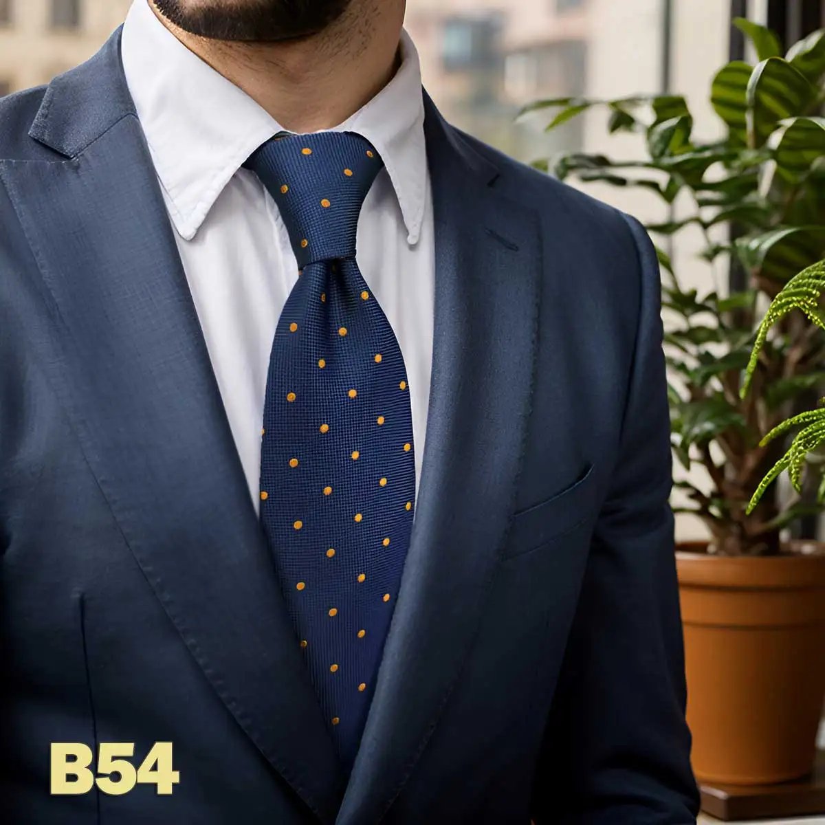 BS54