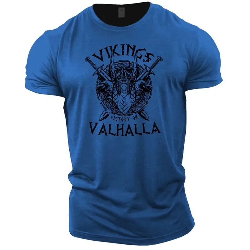 dxtx-viking-100308