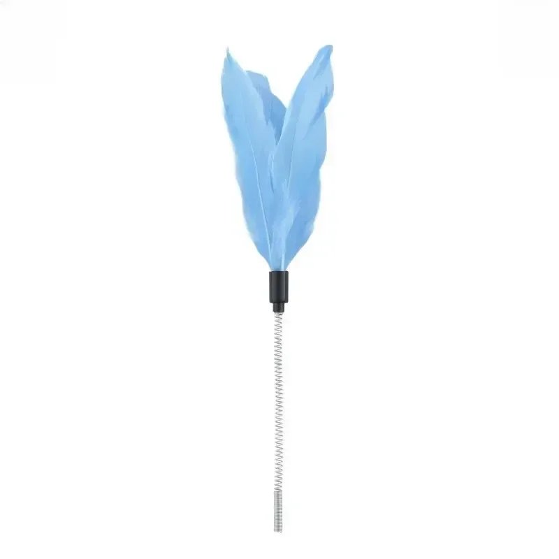 Blue Feather