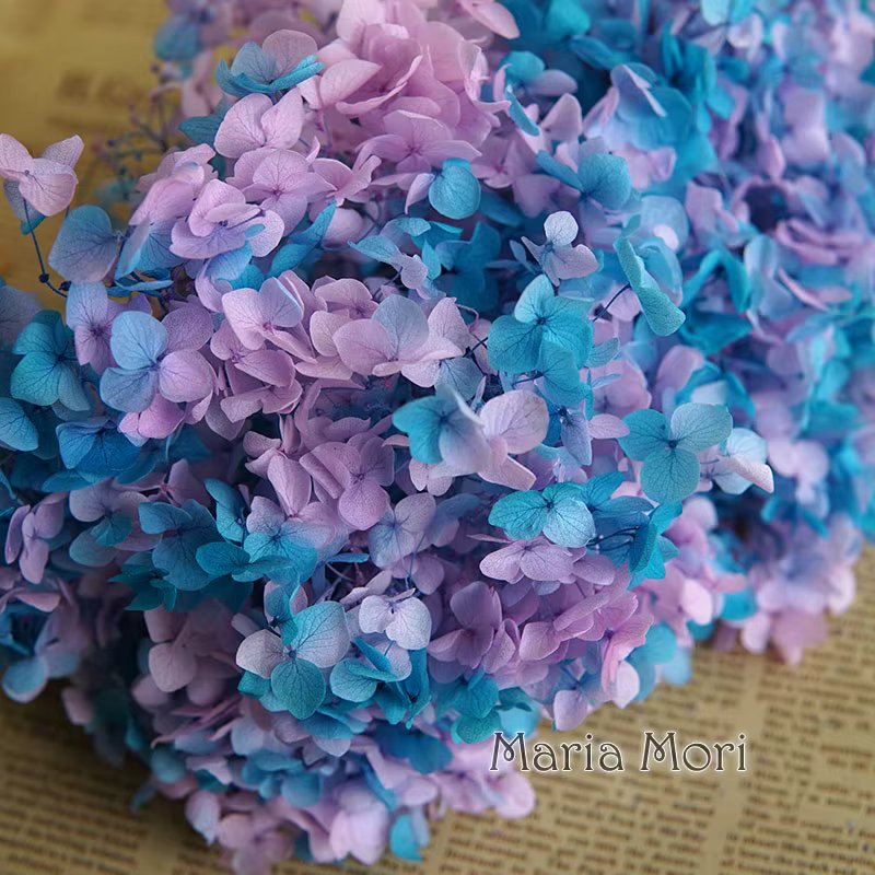 Gradient Color 82