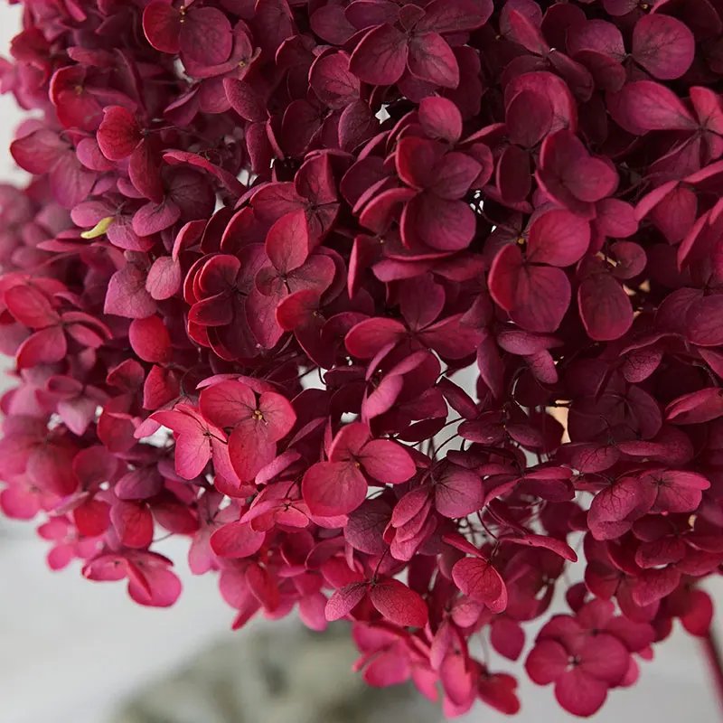 Color S003