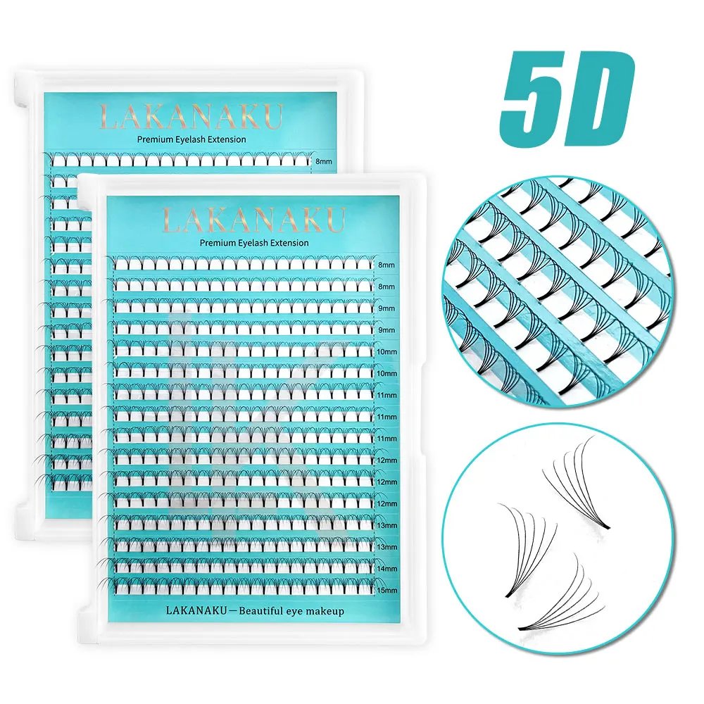 5D