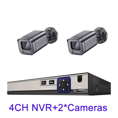 4CH NVR x2 Cameras