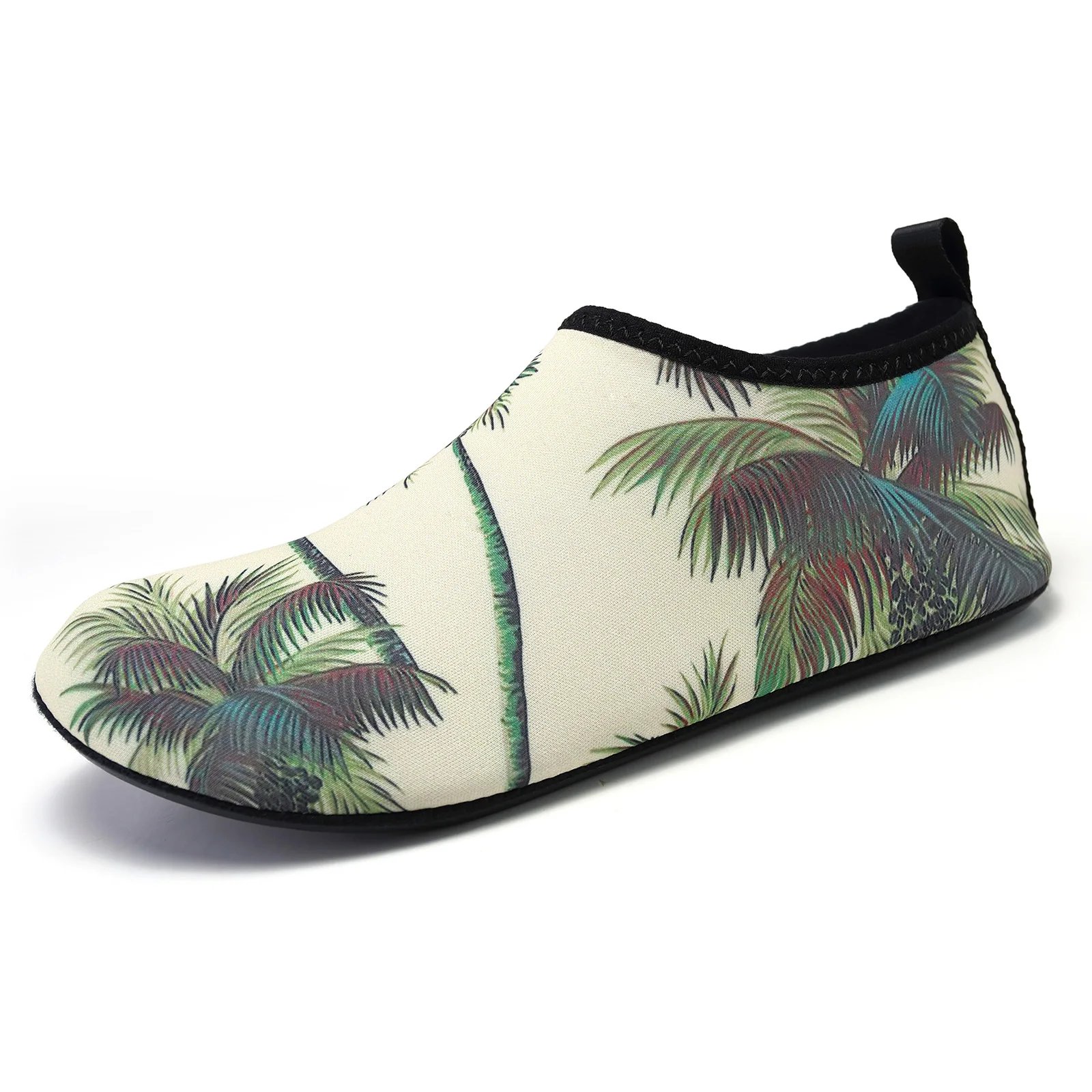 K08-Coconut Tree