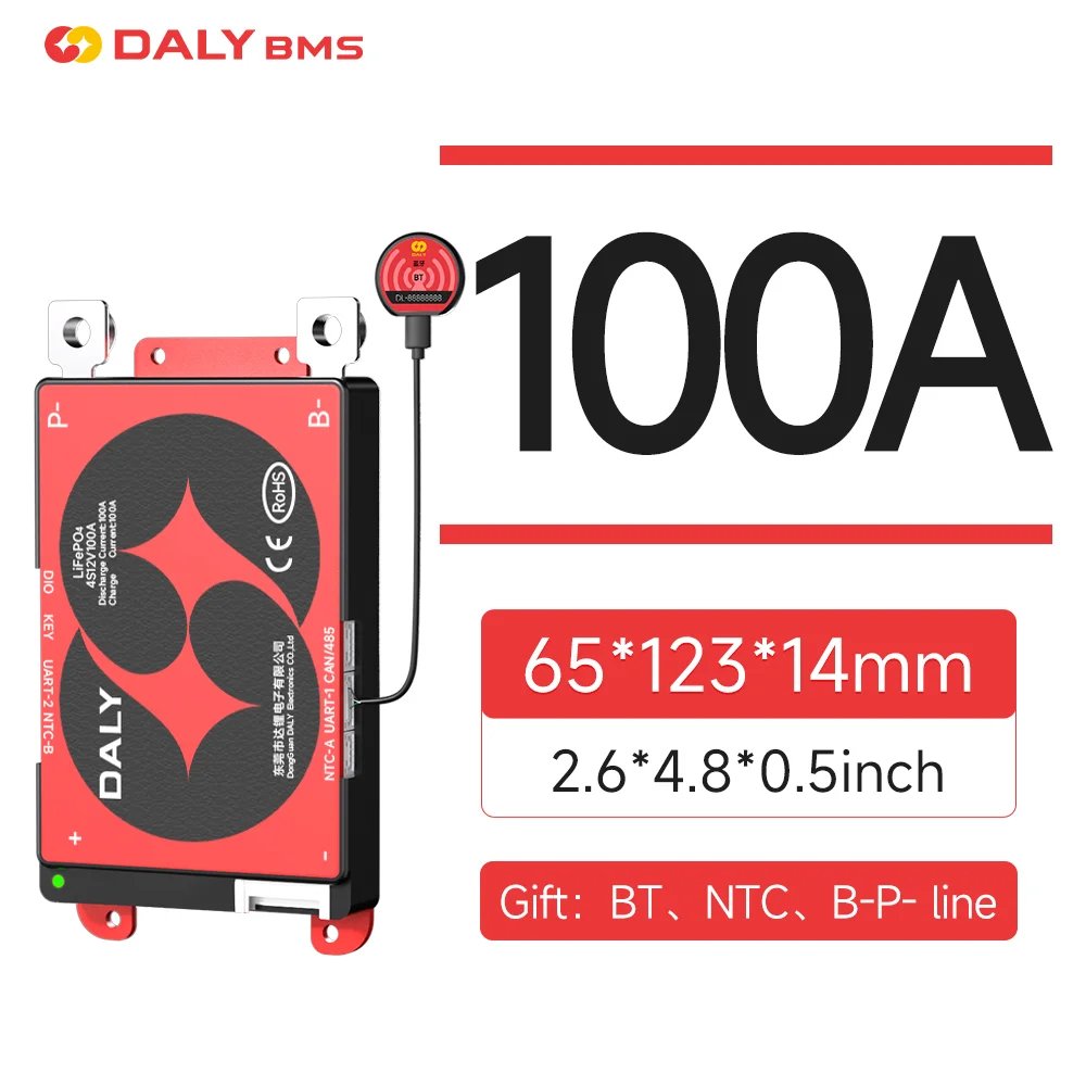 BMS 100A RS485CAN