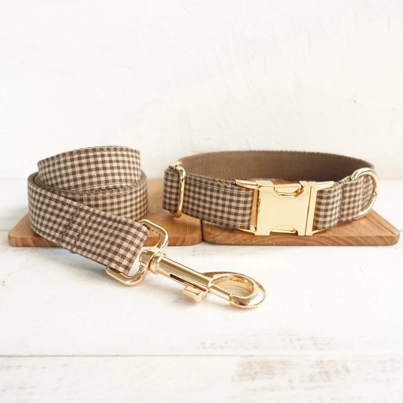 Collar Leash Set-gol