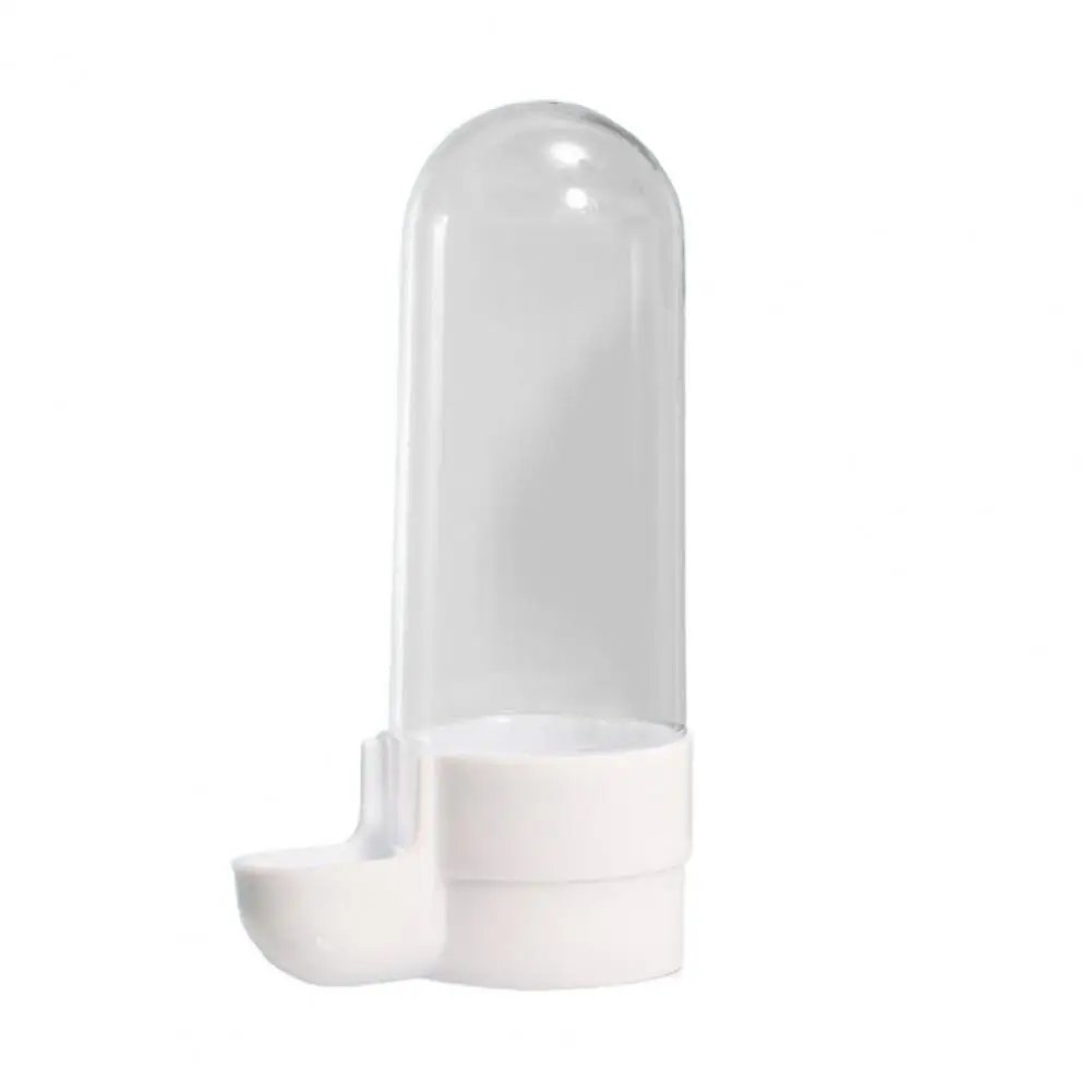 Bird Water Feeder Automatic Drinking Fountain Transparent Container Pet Parrot Hanging Food Dispenser Bird Supplies