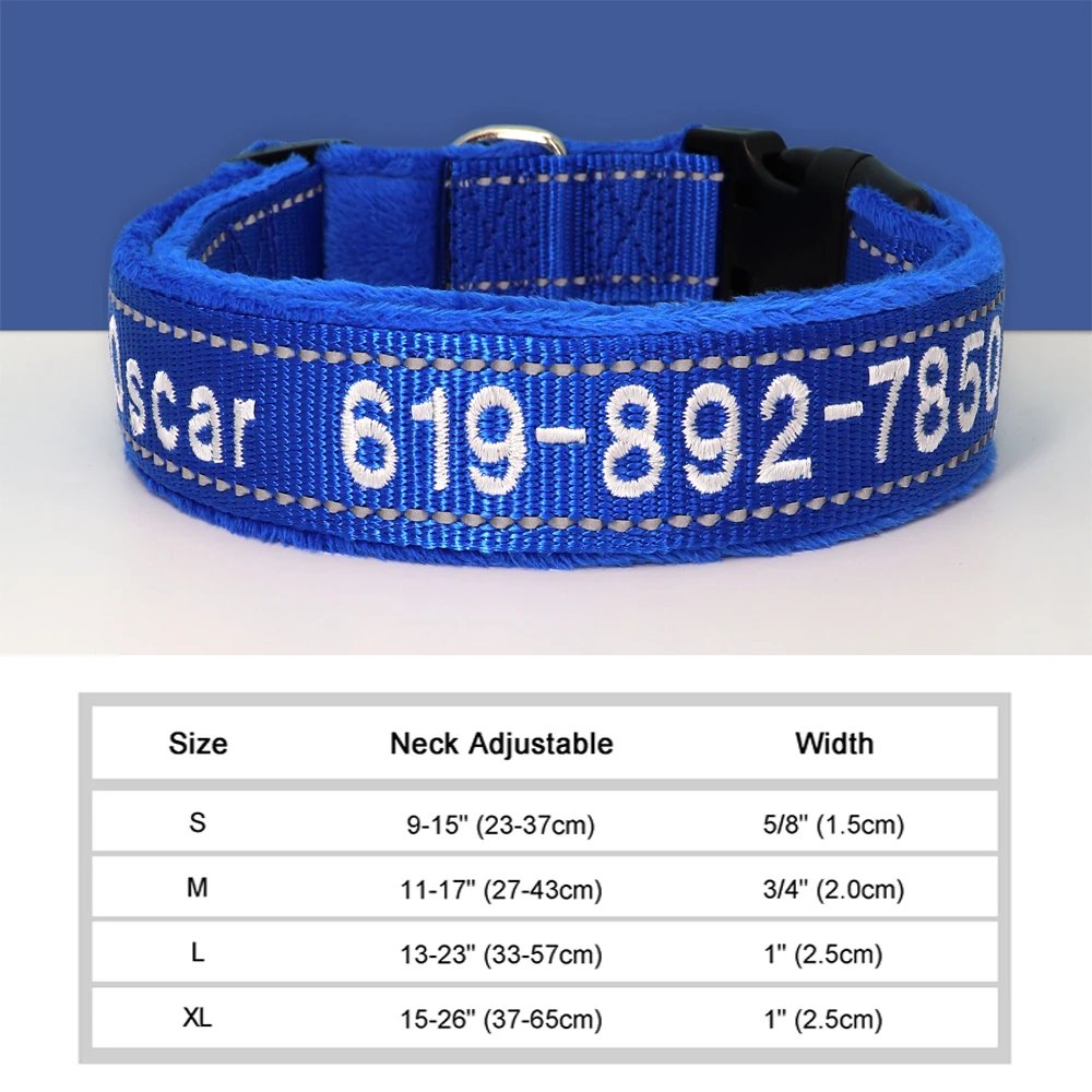 021-1DBLUE
