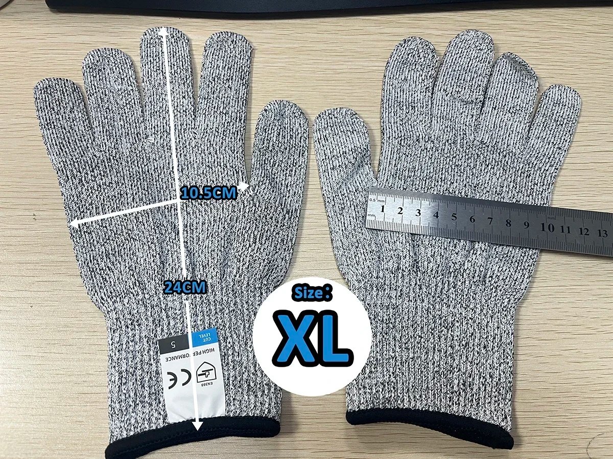 XL(24CM)