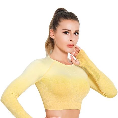 LANTECH Sports Yoga Gym Seamless Crop Tops Fitness Women Clothes Activewear Workout Sportswear Long Sleeve Exercise Only Shirt