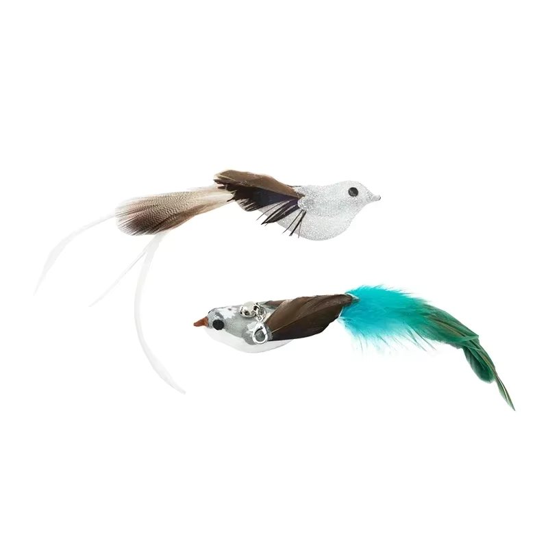 only-GH-Bird