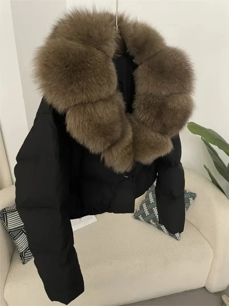 Black brown