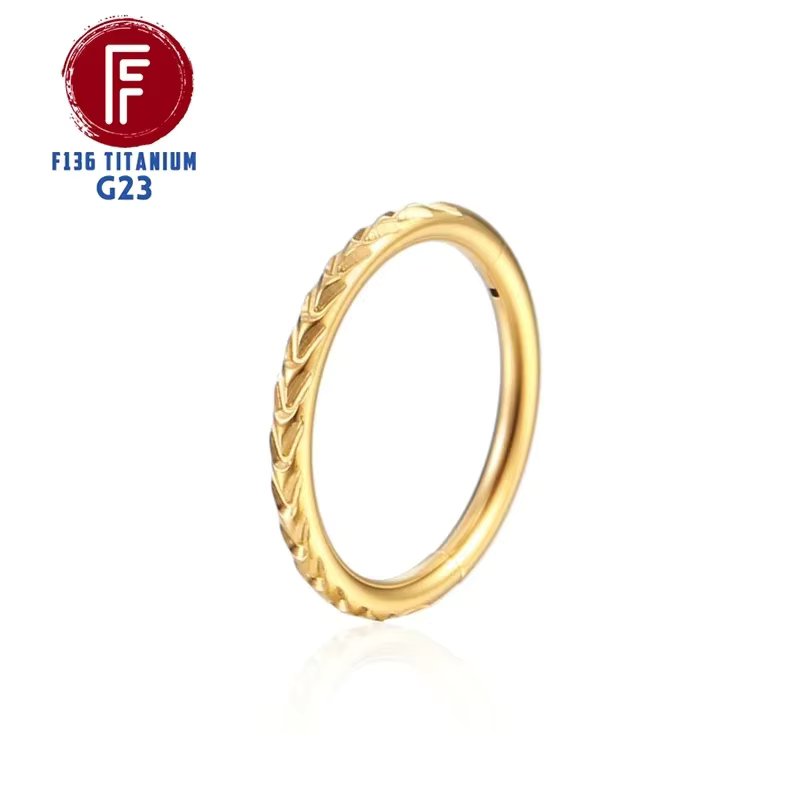 F136 Titanium Tragus Piercings CZ Nose Ring Hoop Cartilage Earring Stud Helix 16g Hinged Septum Charming Segment Body Jewelry