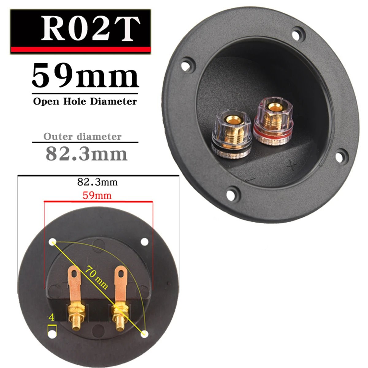 R02T