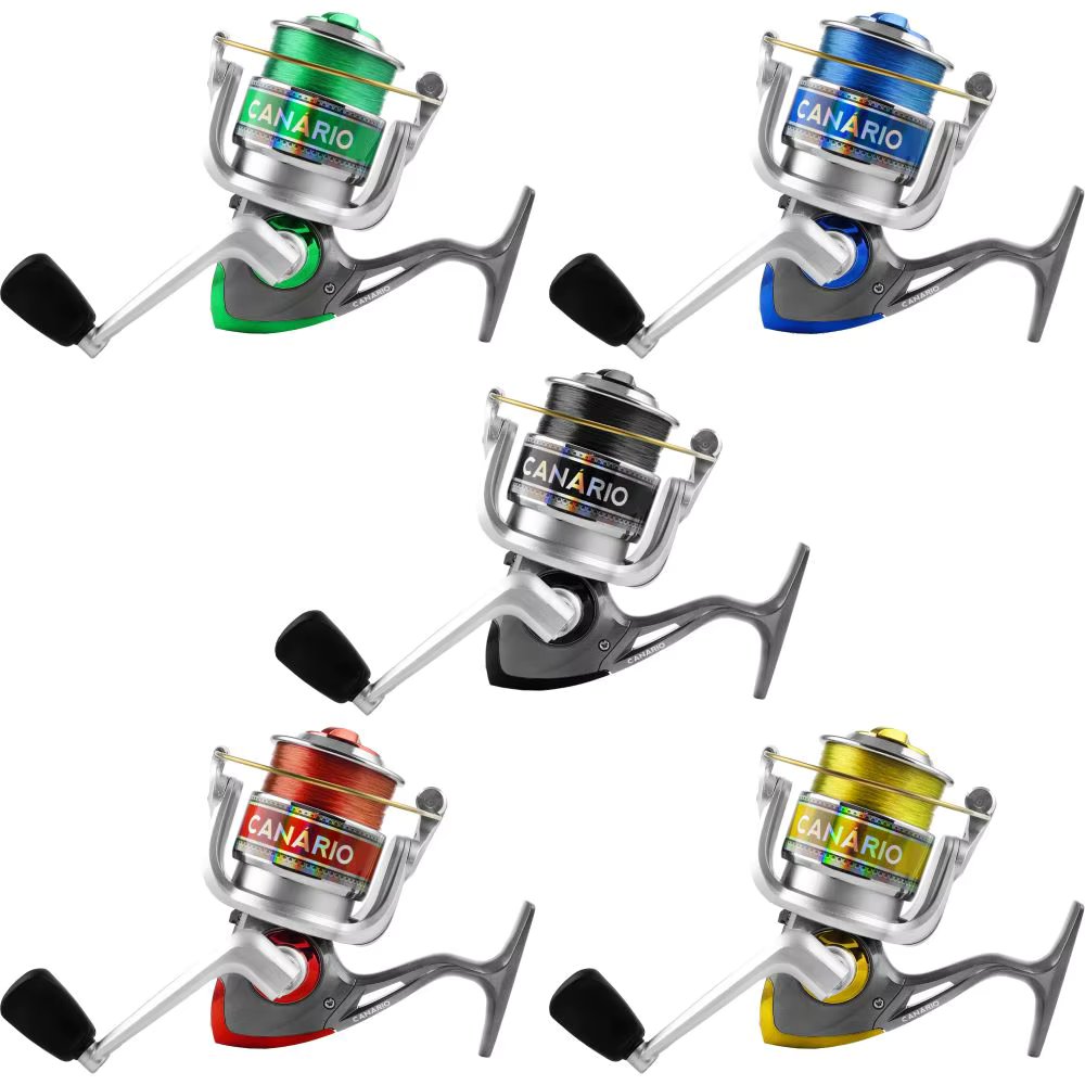 Canary 20 Albatross Reed