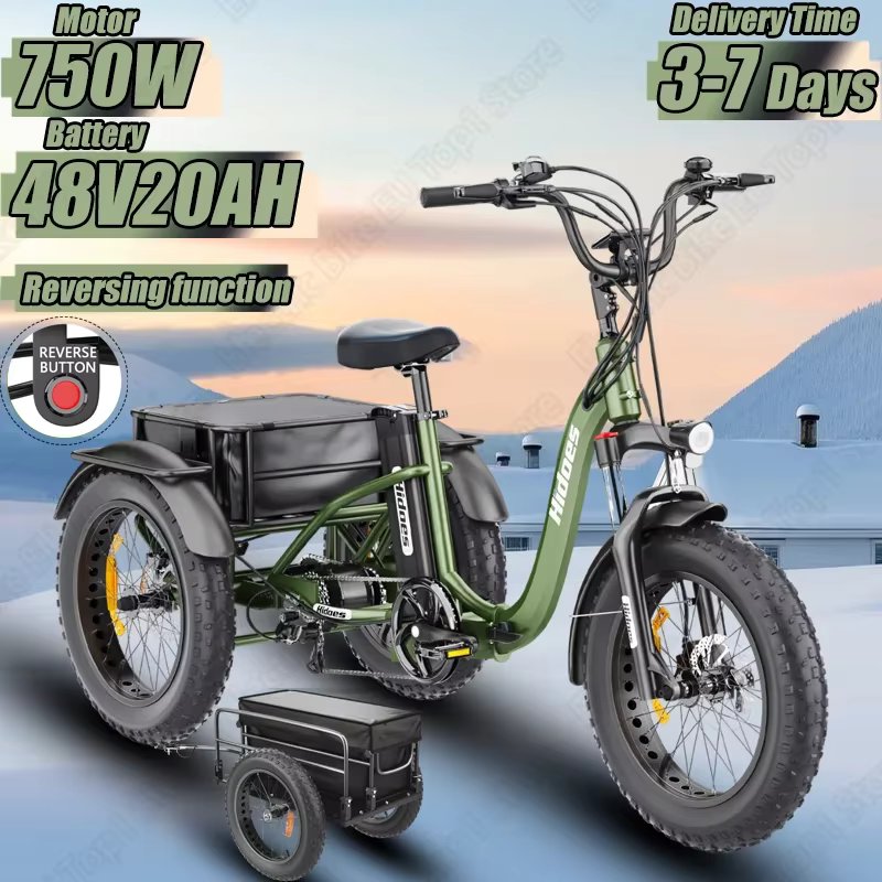 Electro Trike 750W Mid-mounted Motor 48V20AH Lithium Battery E-Trike Reversing Function 20*4 Inch Fat Tire Snow Electro Tricycle