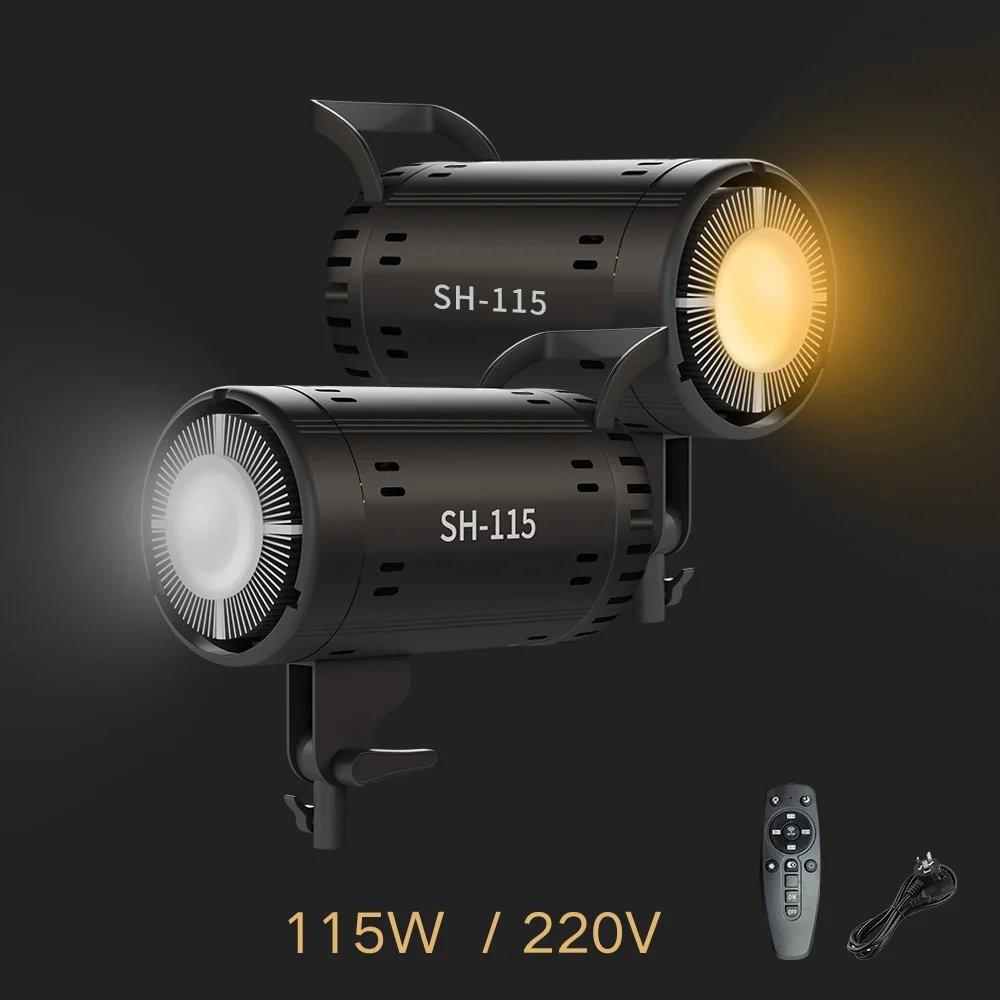 2pcs 115W 220V