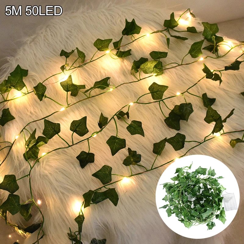 B02-5M 50LED