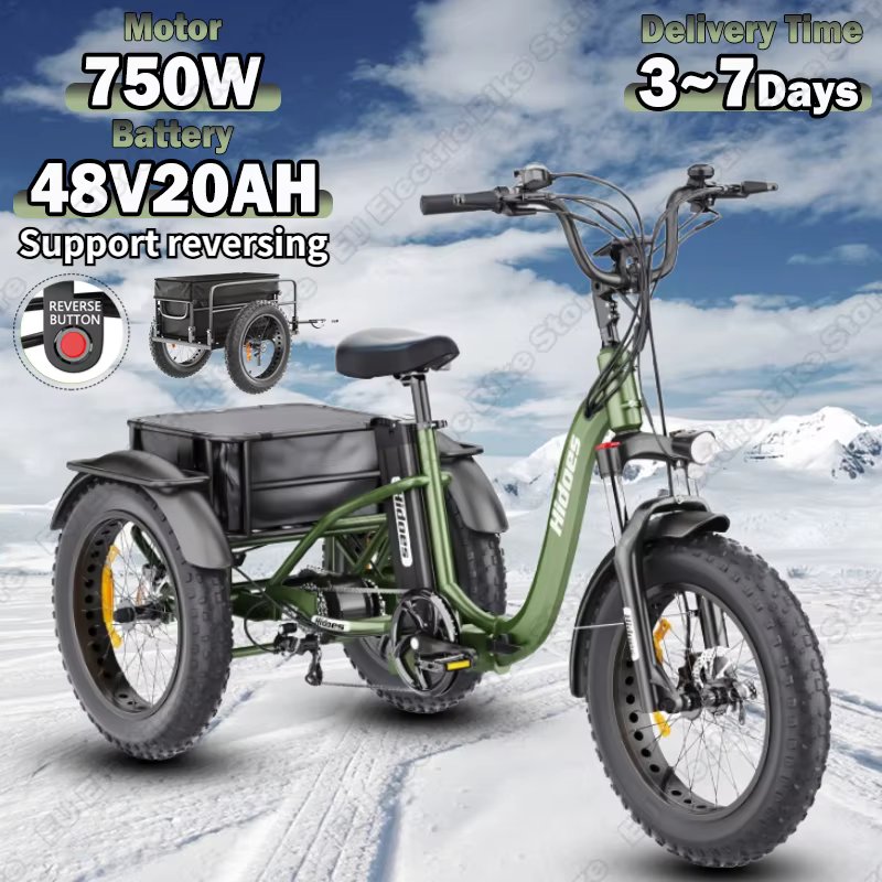 Hidoes Electro Tricycle 750W Mid-mounted Motor 48V20AH Lithium Battery City Folding Electric Tricycle 20*4.0 Fat Tire Snow Ebike