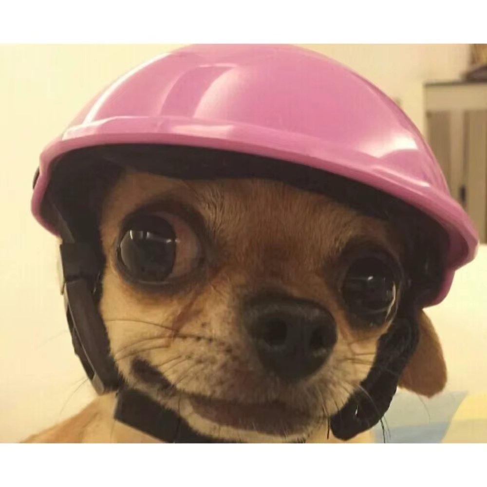 Adjustable Safety Pet Cap ABS Dog Helmets Fashion Funny Pet Protect Ridding Cap for Pet Bike Outdoor Sun Protection Supplies