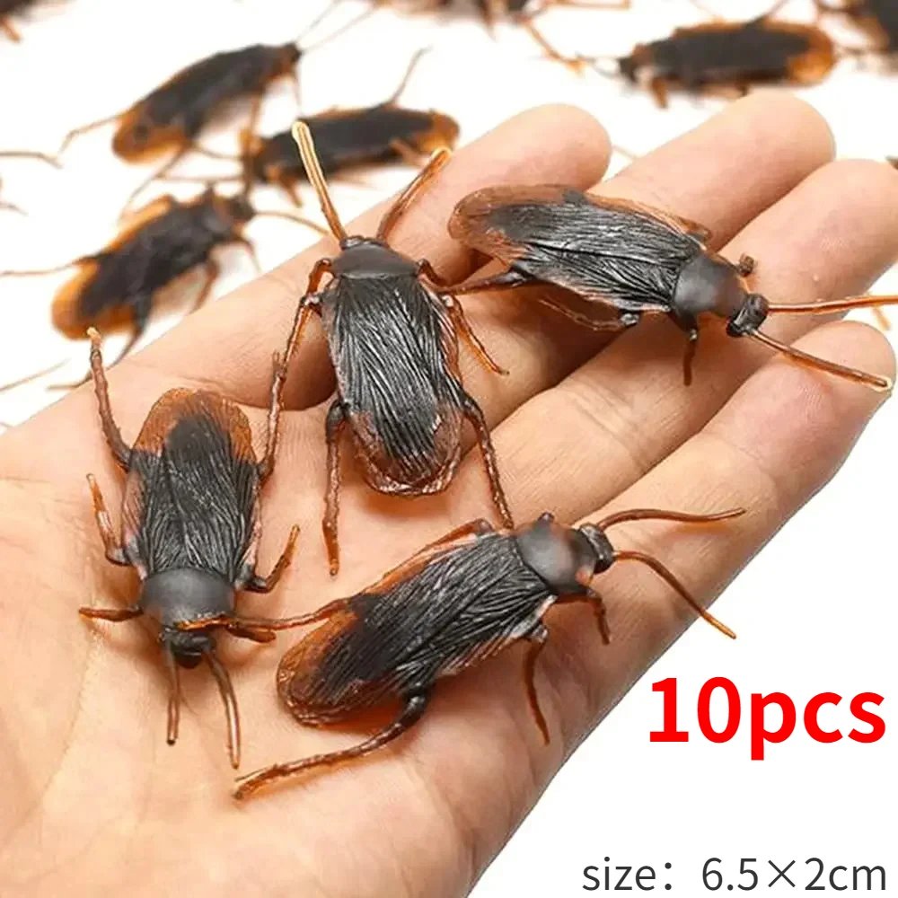 cockroach