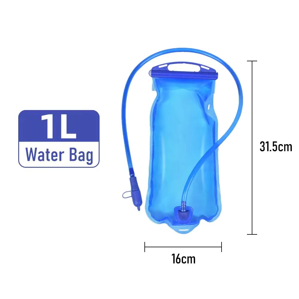 1L