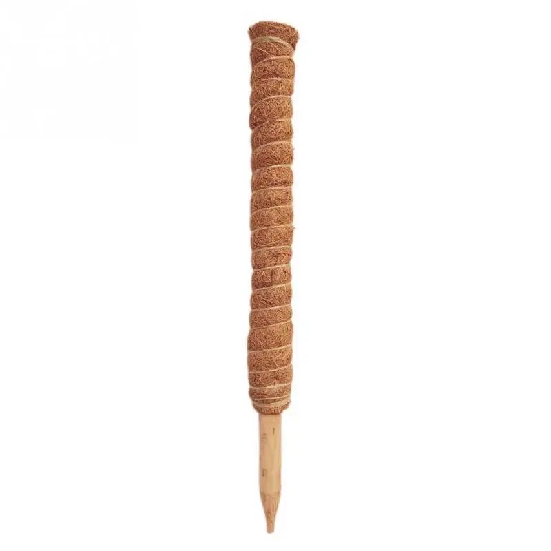 50cm
