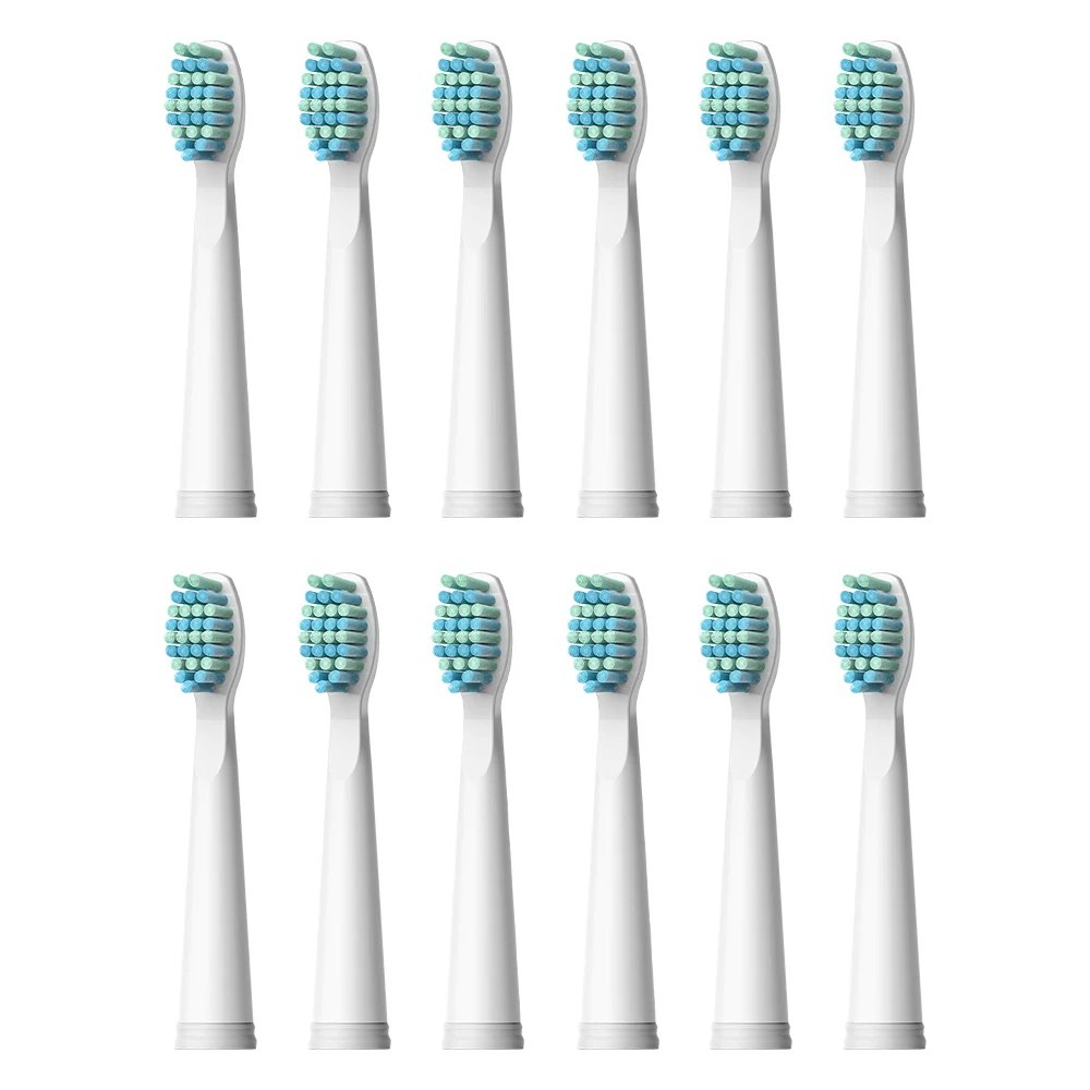 FW01(3pack-12pcs)