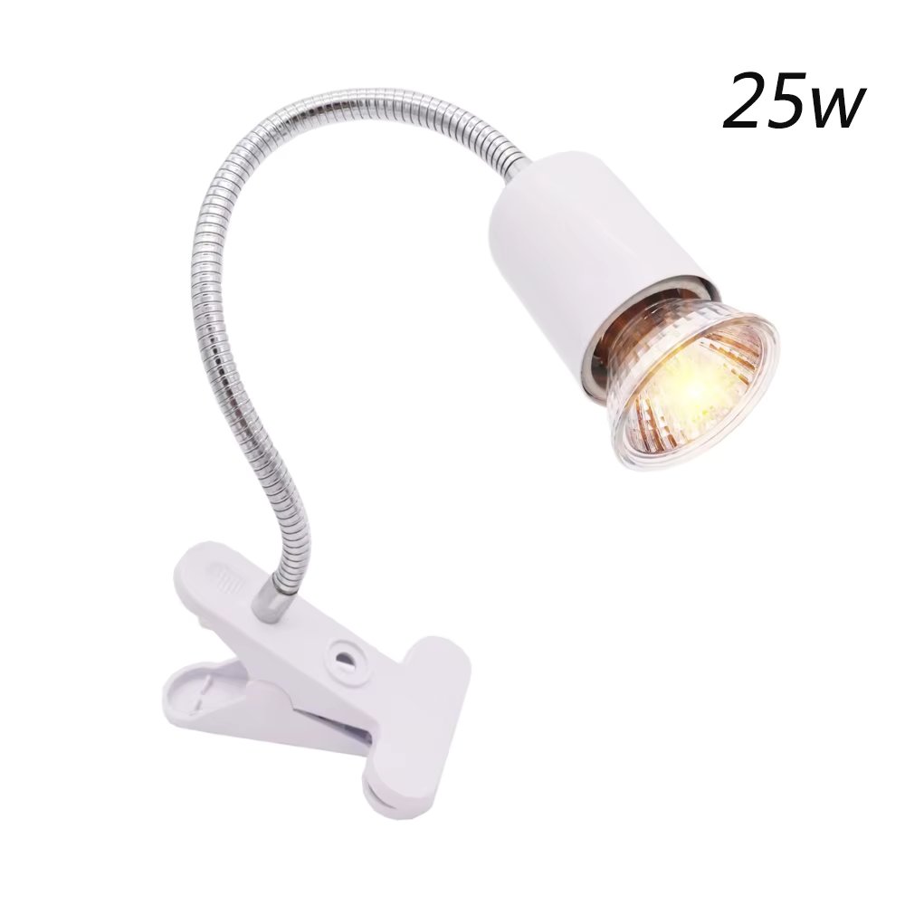 White holder and 25w