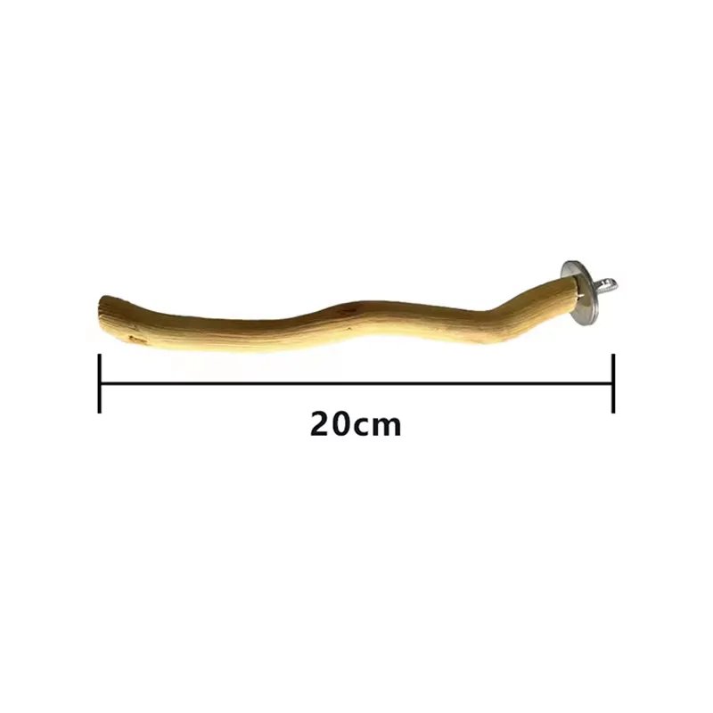 20cm