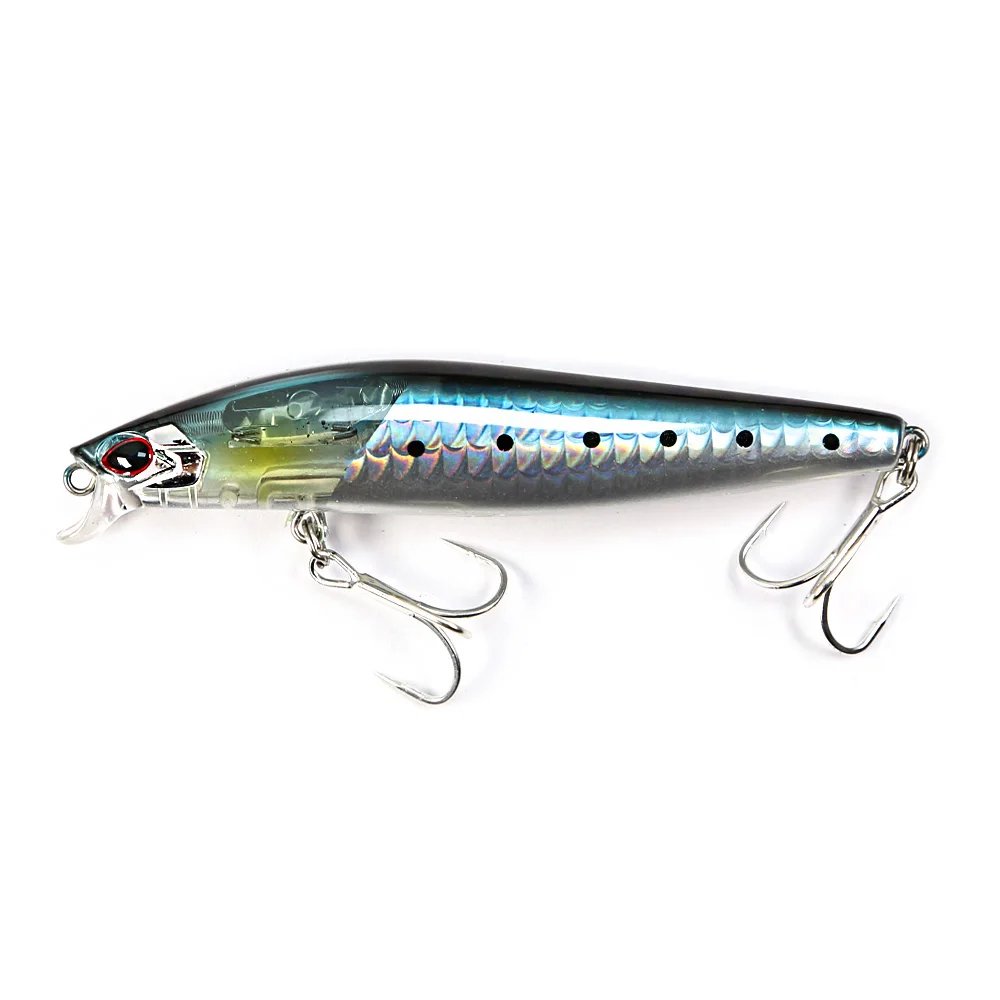 sardine