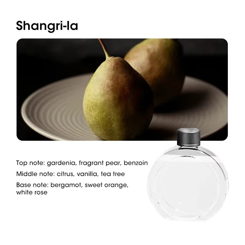 1PC Shangri-la Oil