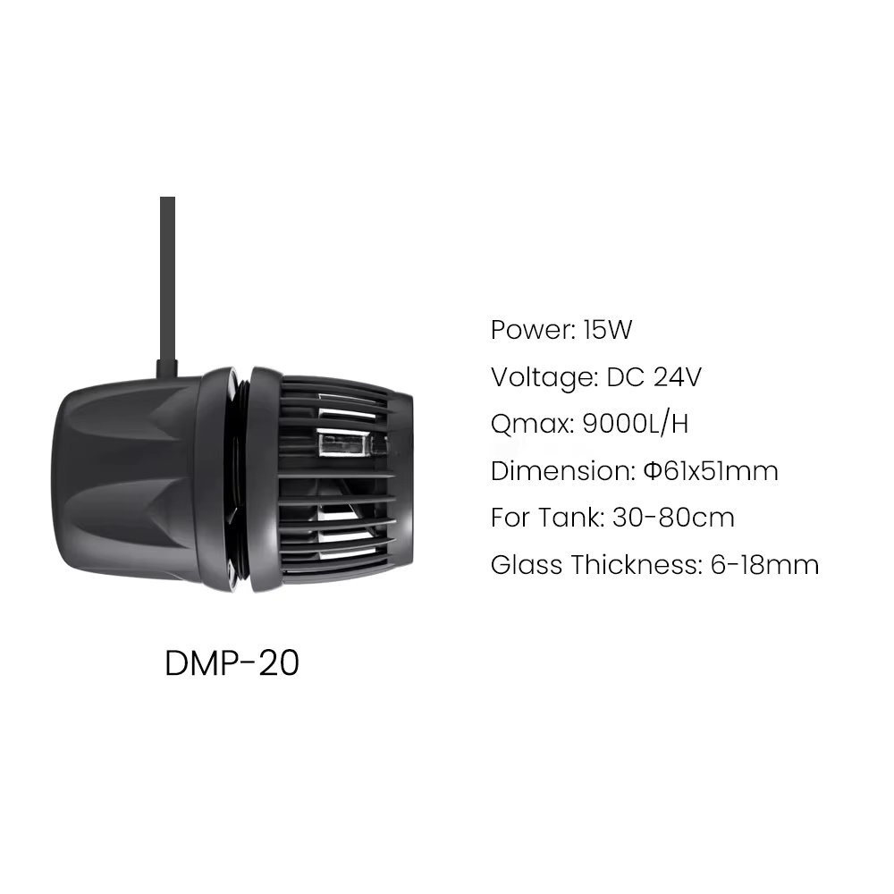 DMP-20