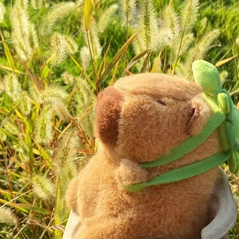 NEW Cute Capybara Plush Toy Stuffed Animals Capybara with Turtle Backpack Soft Doll Kids Toys Birthday Christmas Gift