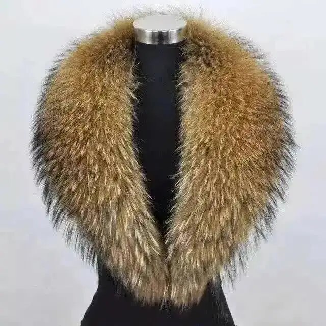 Raccoon color