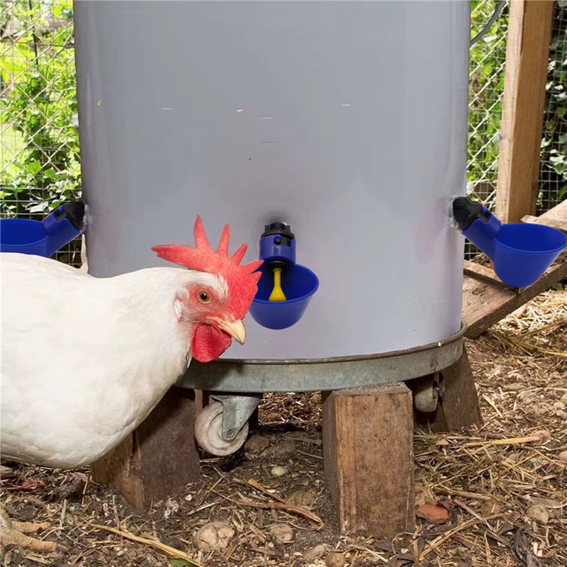 5/10 Pcs Chicken Drinking Cups Automatic Drinker Bowl with Yellow Nipple & Screws Farm Backyard Poultry Drinking Water System
